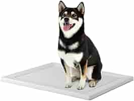 オーダーメイド　ペットアクリルトイレ ICHIGOtype グレースモーク色 ペットアクリルトイレ ICHIGOtype ワイドサイズ - メルカリ